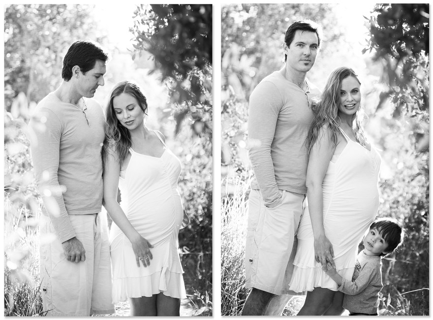 FamilyCollectionLine4